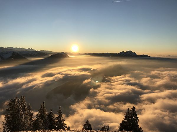 Coaching für Bewusstseinsbefreiung