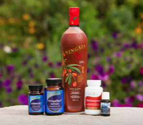 Young Living Balance & Schwung